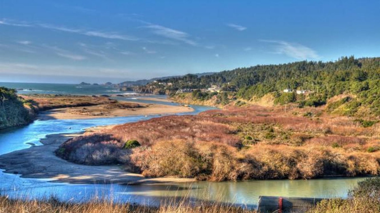 Photo of Others in Sea Ranch