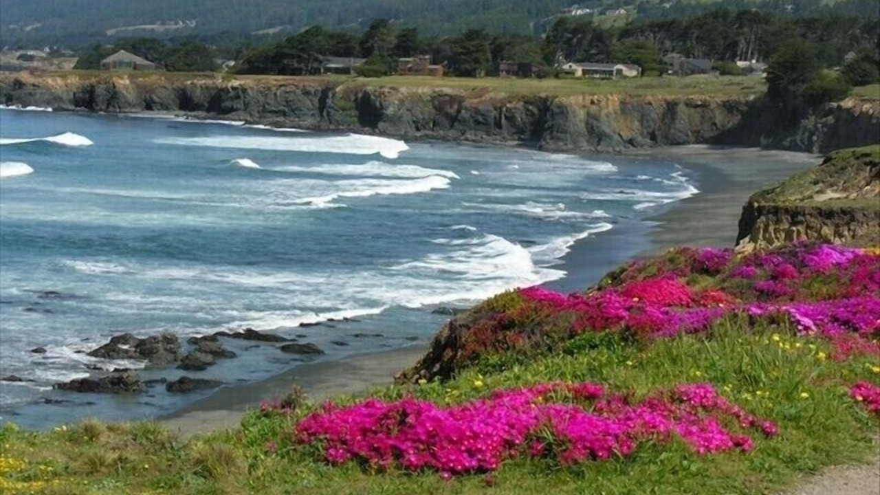 Photo of Others in Sea Ranch