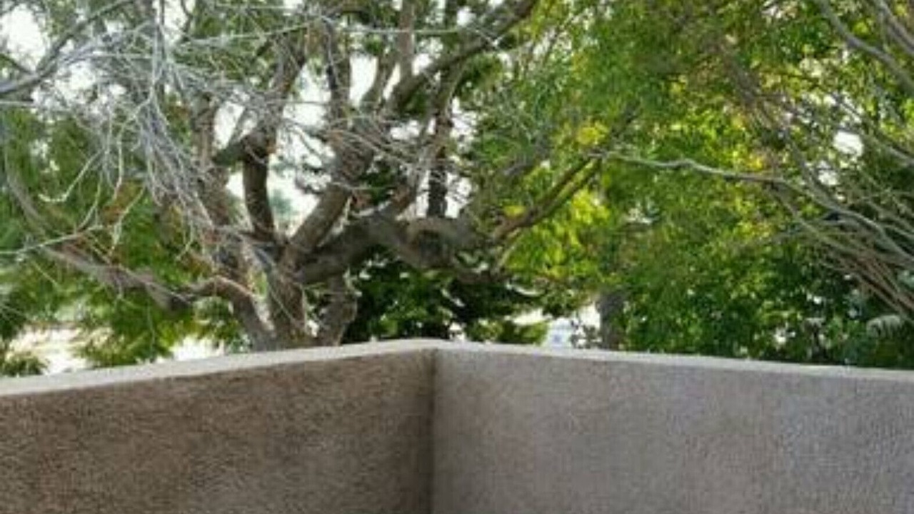 Photo of Others in Mar Vista