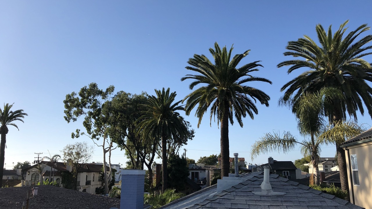 Photo of Others in Corona del Mar