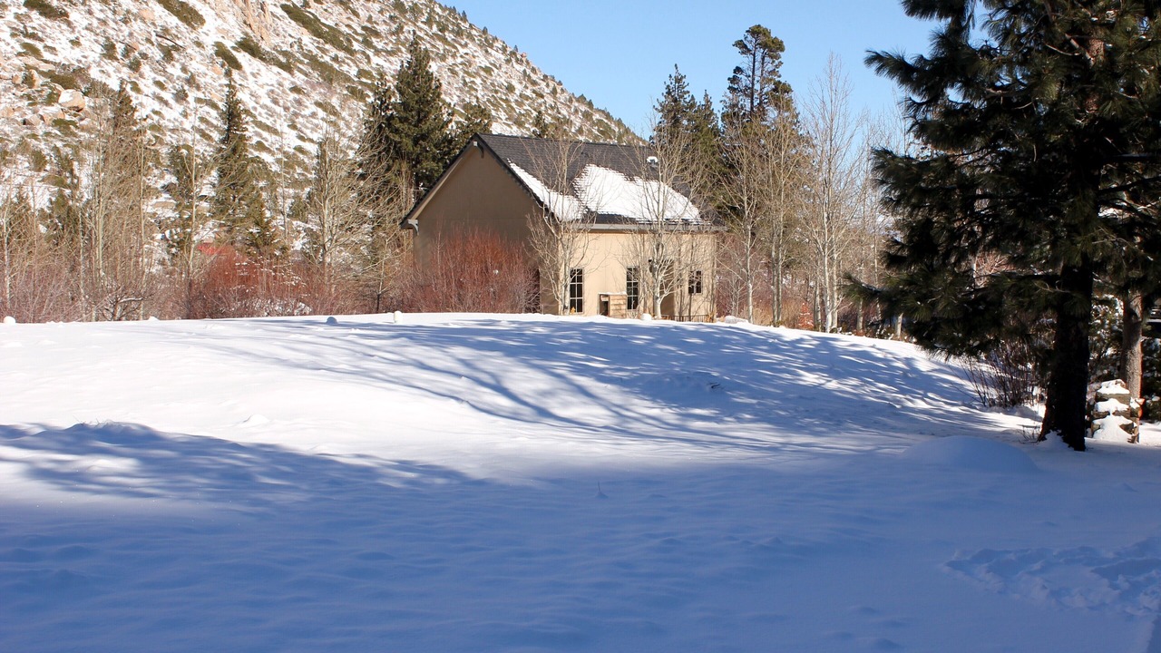 Photo of Outdoor in Markleeville