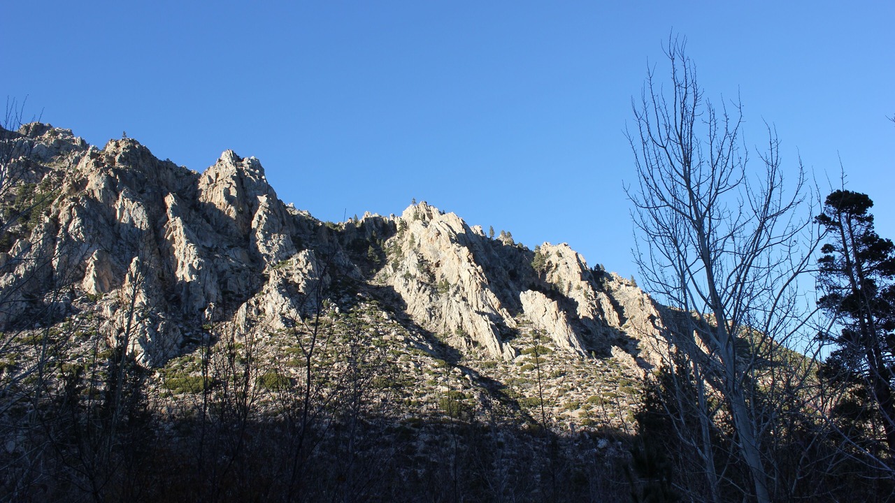 Photo of Others in Markleeville