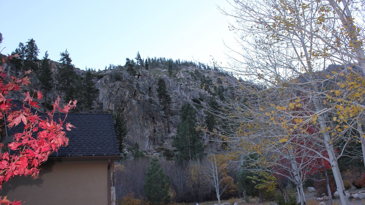 Photo of Outdoor in Markleeville