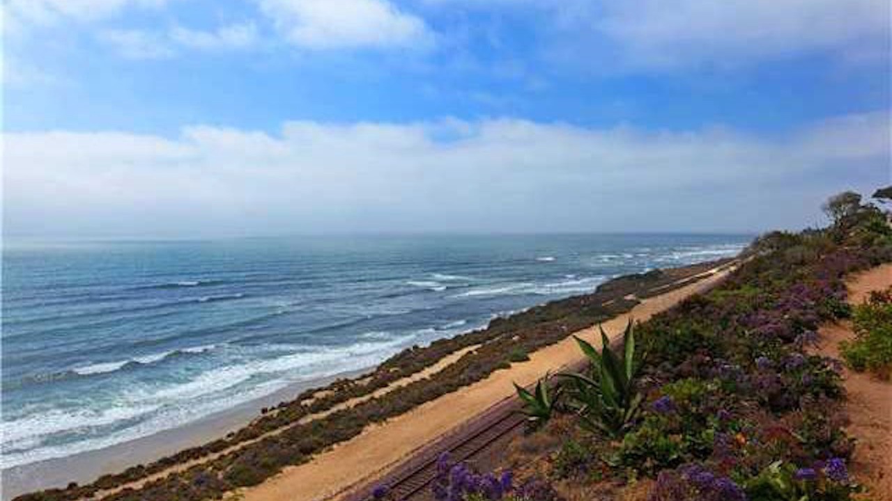 Photo of Others in Del Mar