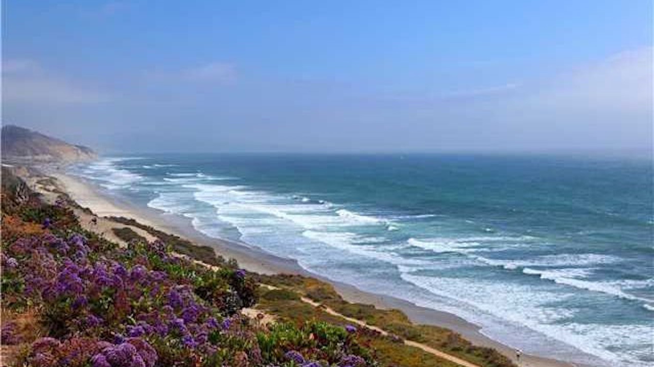 Photo of Others in Del Mar