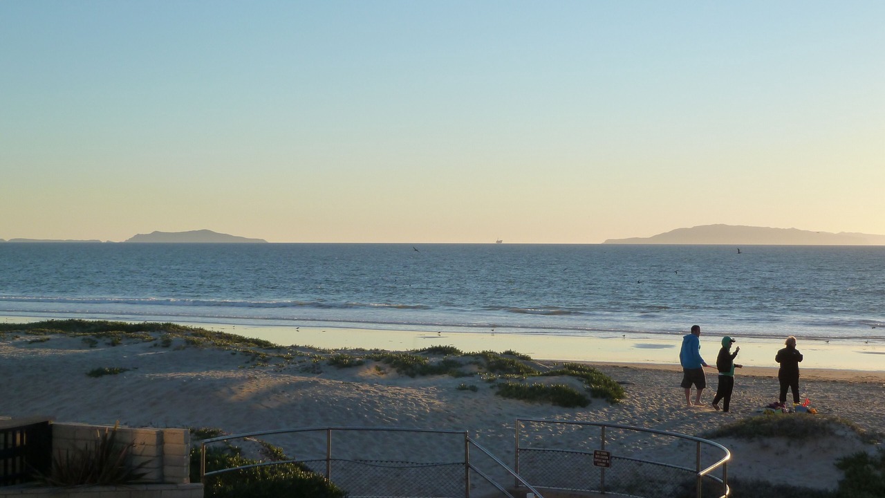 Photo of Others in Pierpont Bay