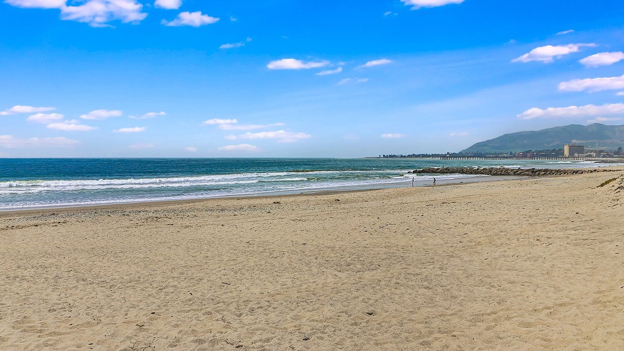 Photo of Others in Pierpont Bay