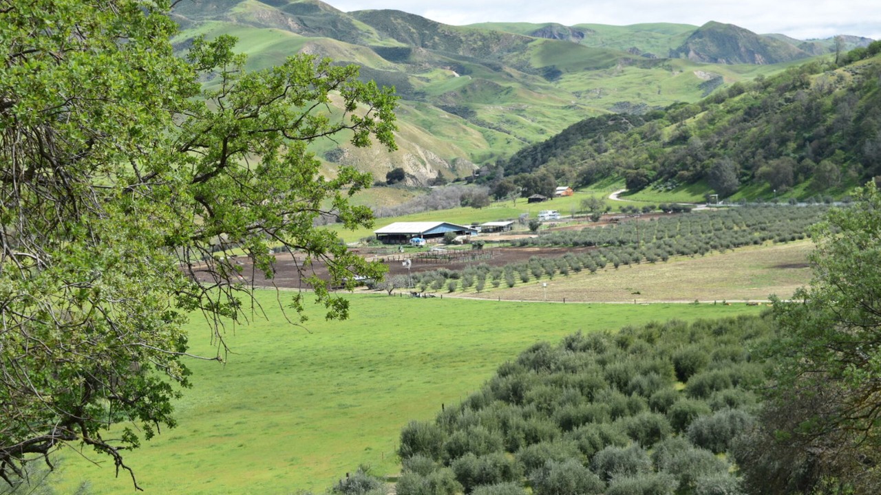 Photo of Outdoor in Paicines