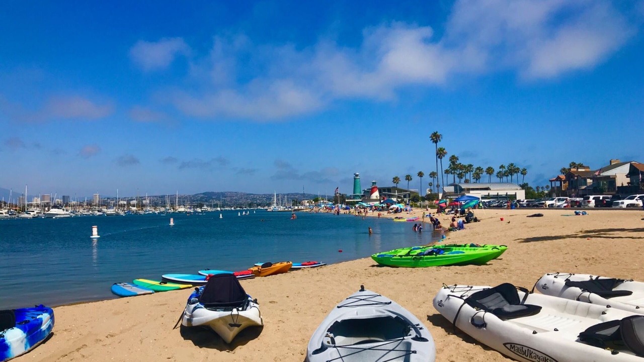Photo of Others in West Newport
