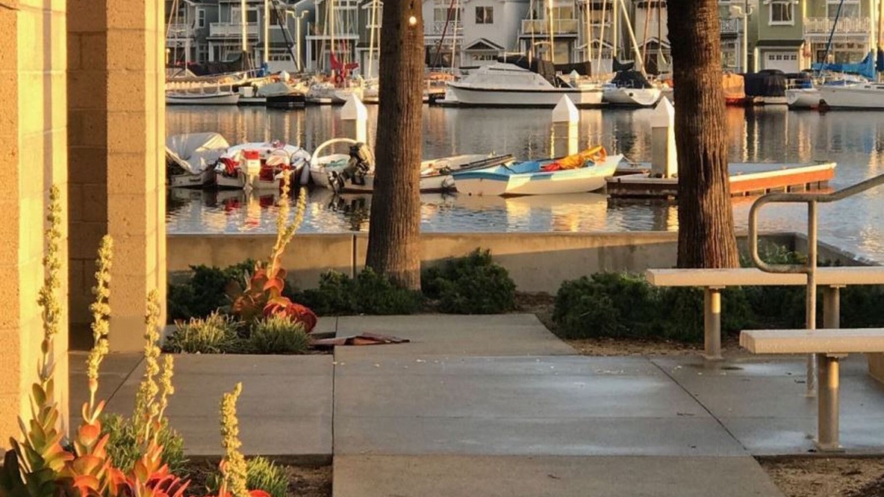 Photo of Outdoor in West Newport