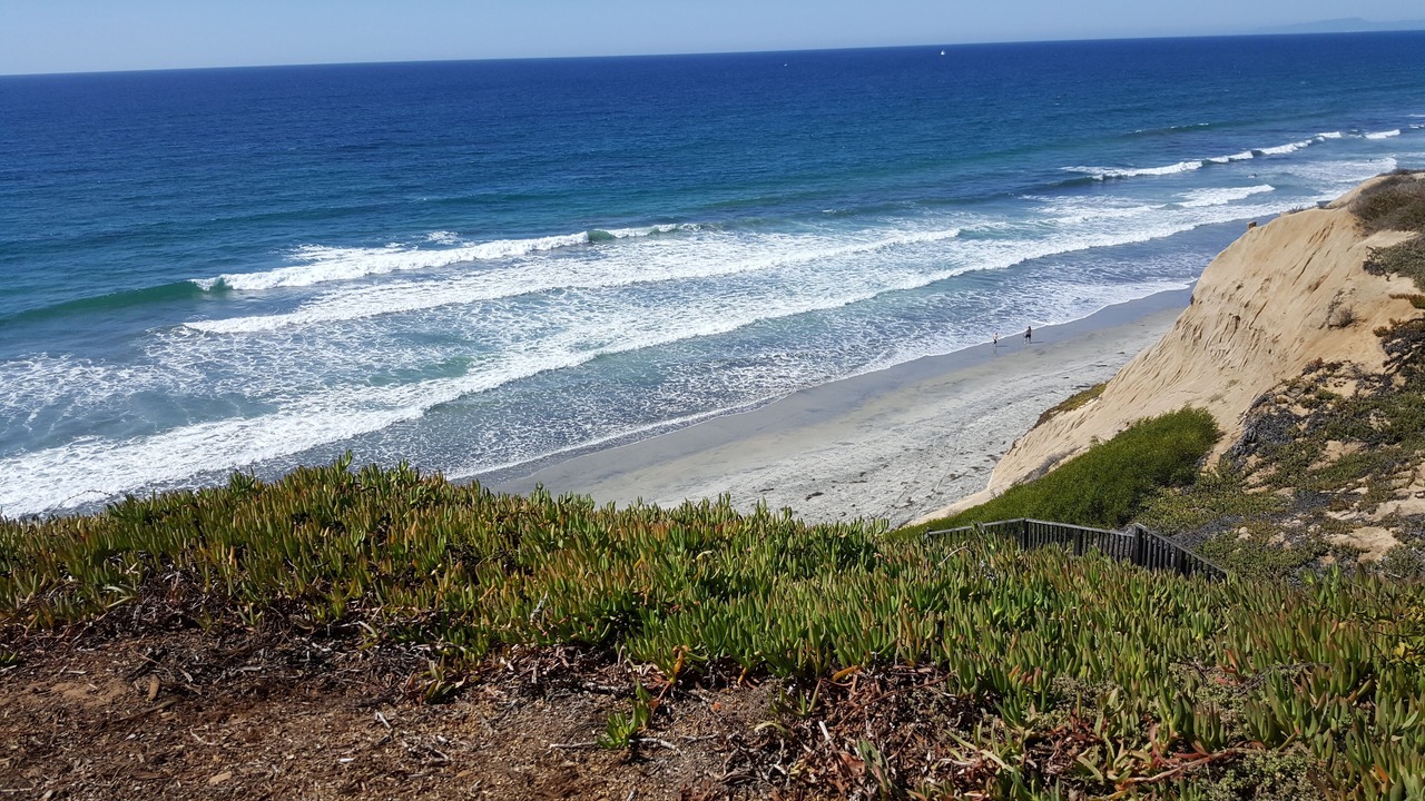 Photo of Others in Solana Beach