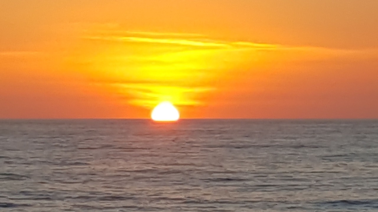 Photo of Others in Solana Beach