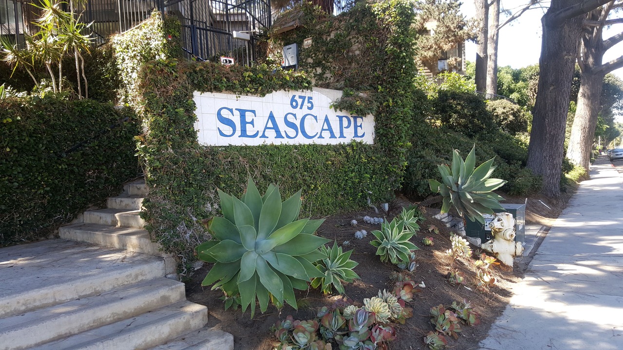 Photo of Others in Solana Beach