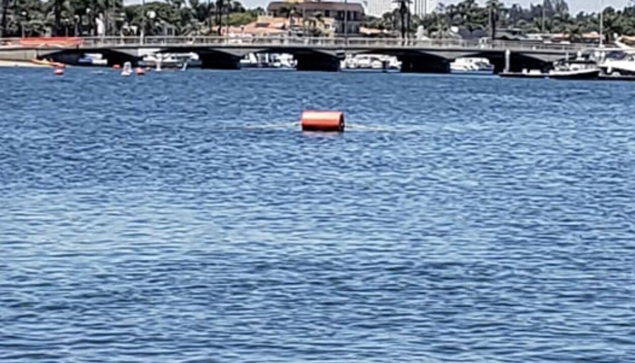 Photo of Others in Belmont Shore