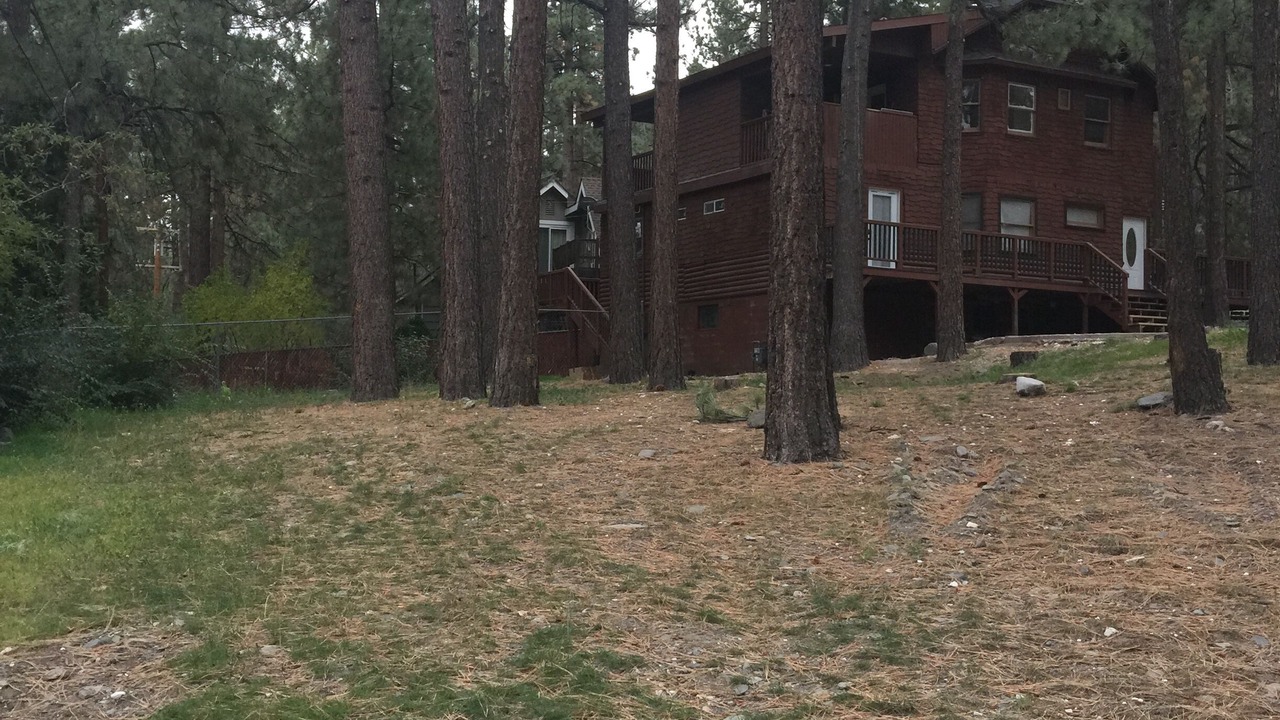 Photo of Others in Wrightwood