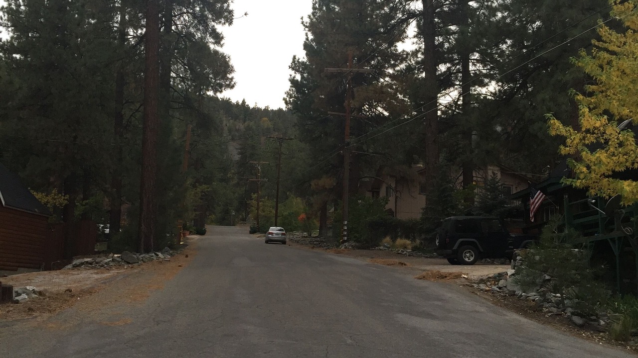 Photo of Others in Wrightwood