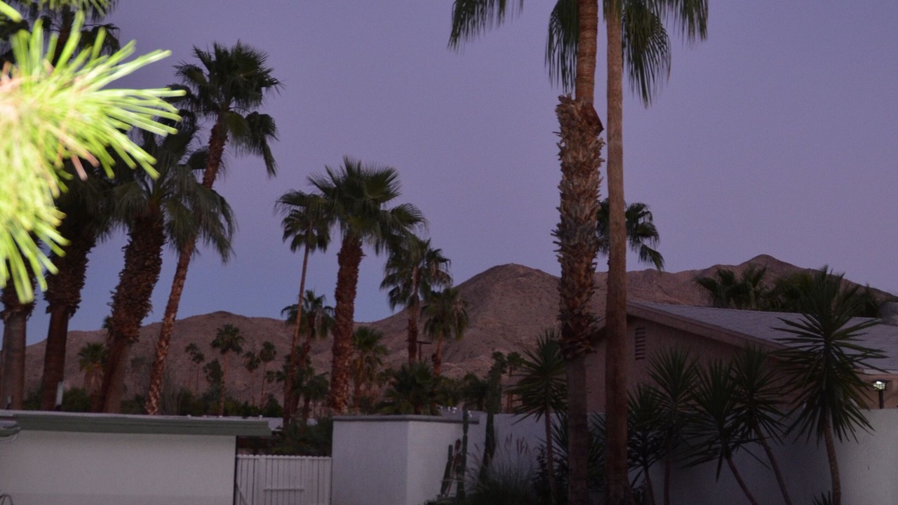 Photo of Others in Cathedral City Cove
