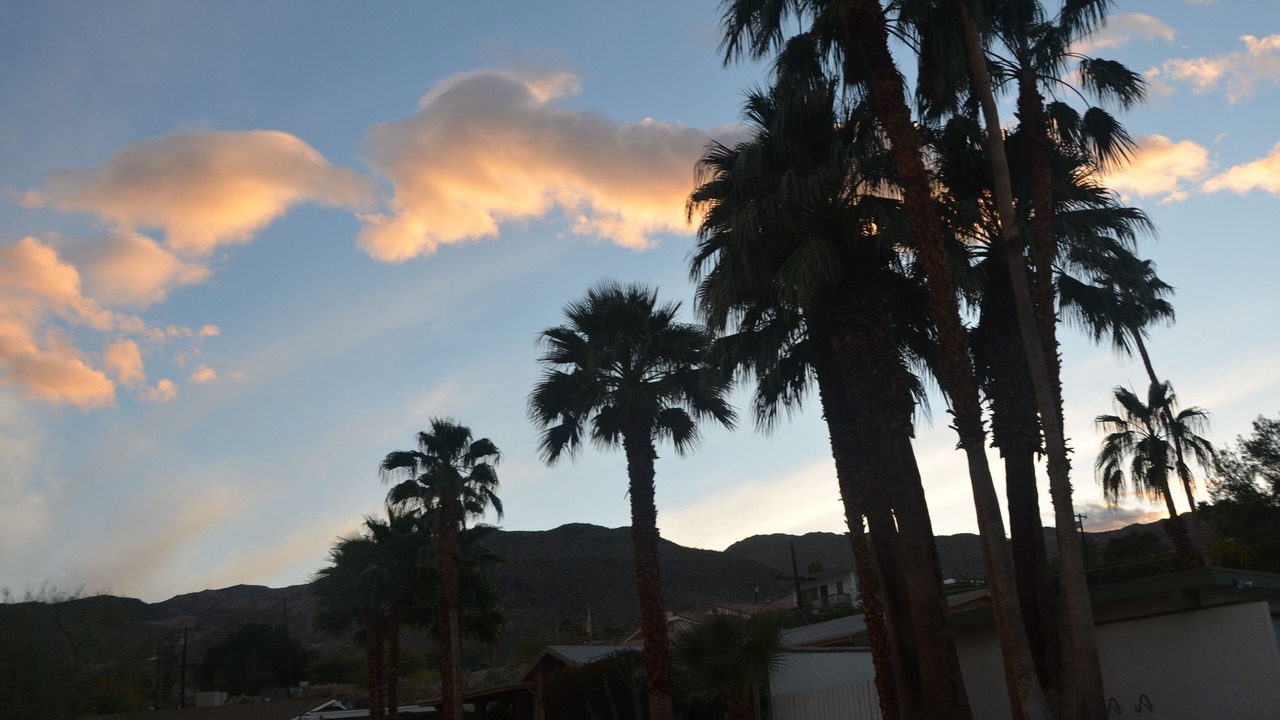 Photo of Others in Cathedral City Cove
