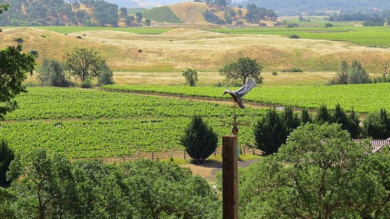 Photo of Outdoor in Pope Valley