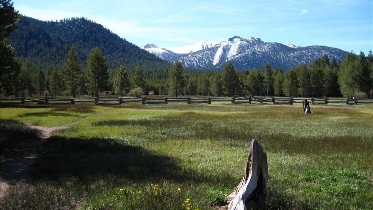 Photo of Others in Rancho Bijou