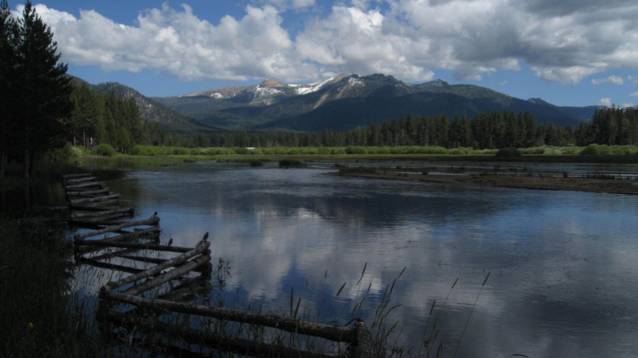 Photo of Others in Rancho Bijou