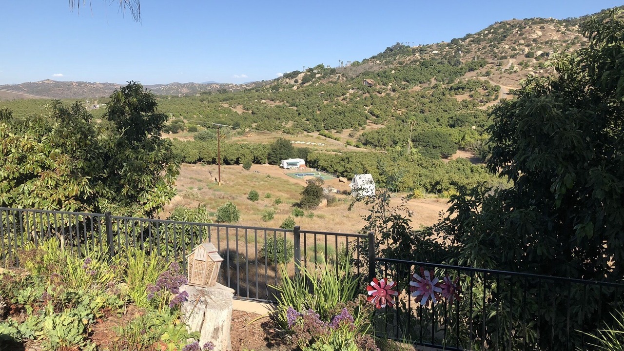 Photo of Others in Escondido