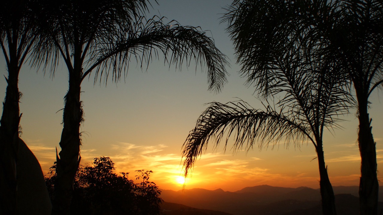 Photo of Bedroom in Escondido