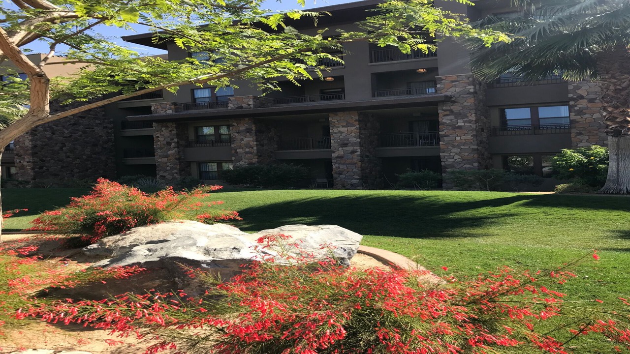 Photo of Outdoor in Palm Desert