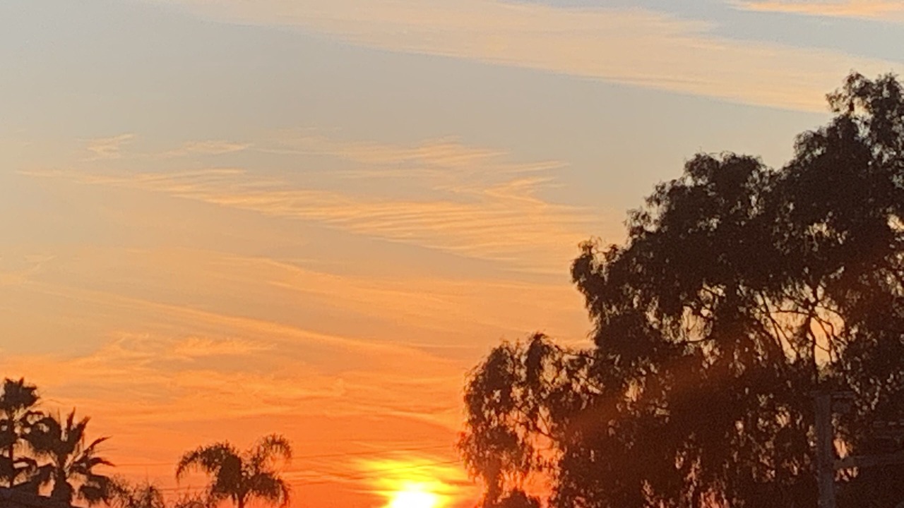 Photo of Others in Carlsbad Village