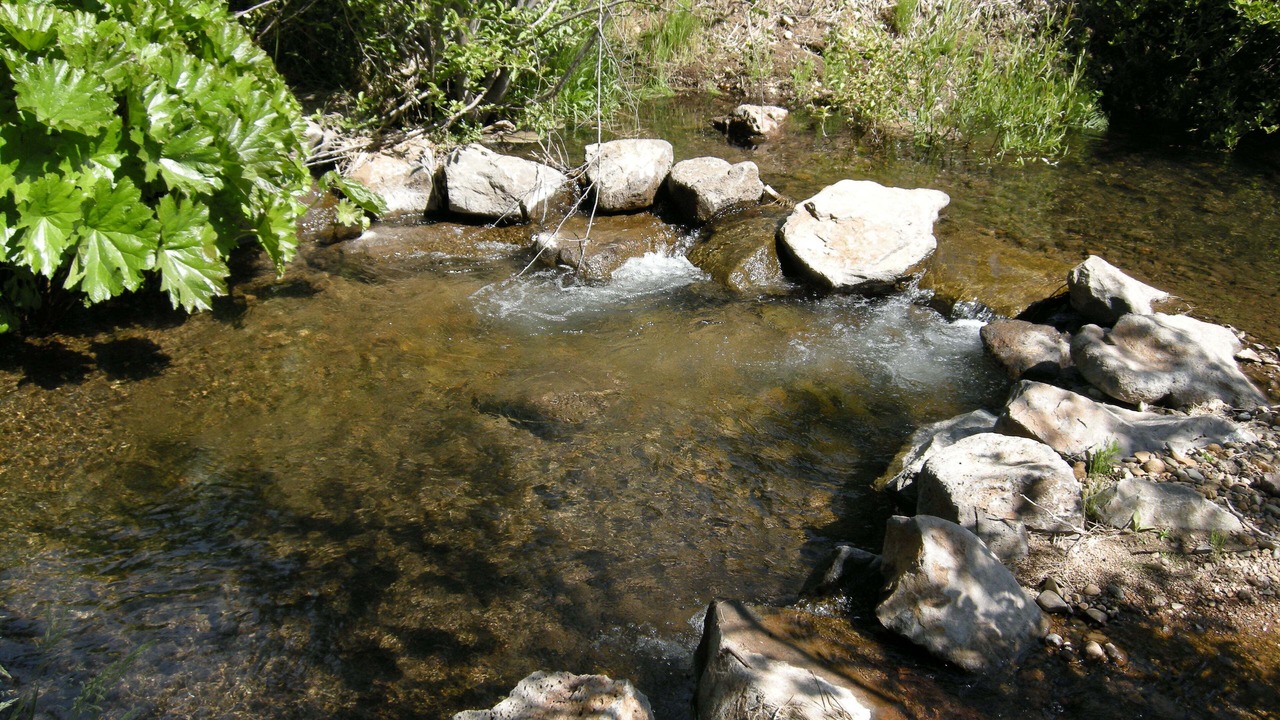 Photo of Others in Shingletown