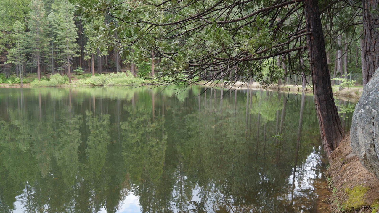 Photo of Outdoor in Twain Harte