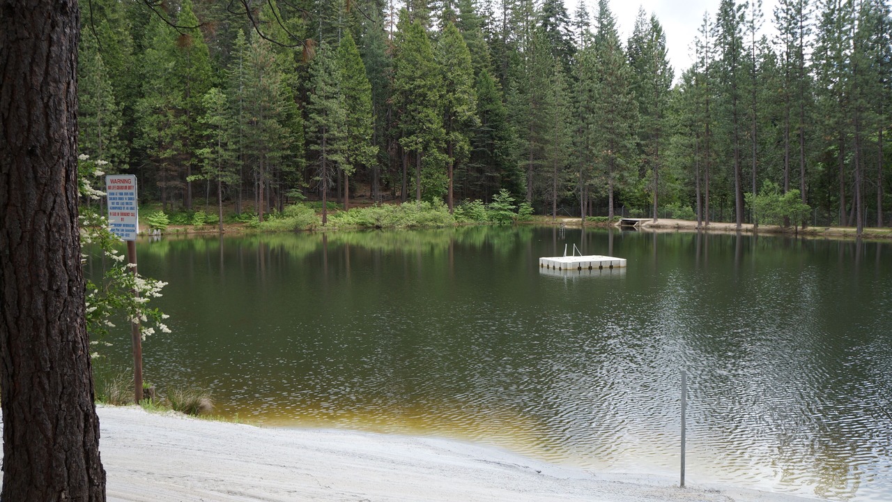 Photo of Outdoor in Twain Harte