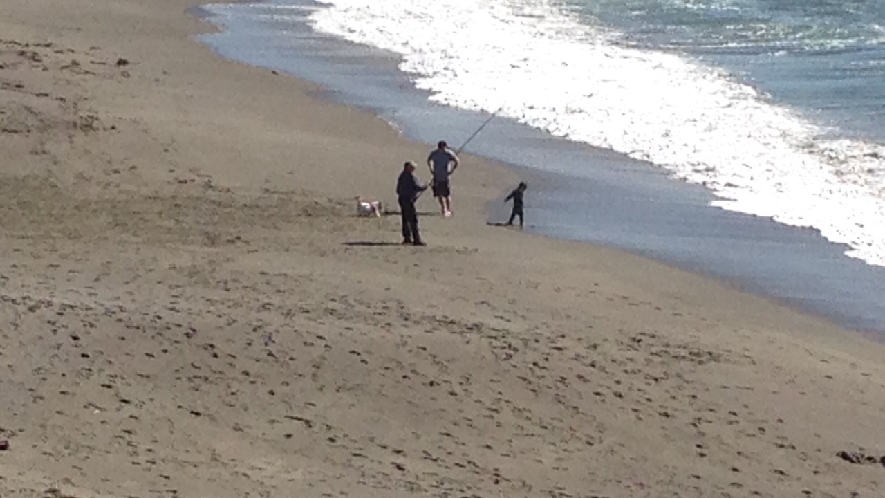 Photo of Others in Sereno del Mar
