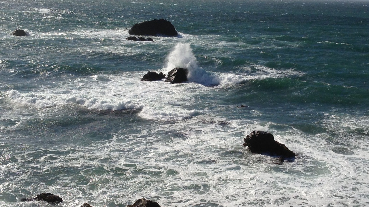 Photo of Others in Sereno del Mar