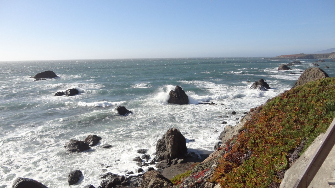 Photo of Others in Sereno del Mar