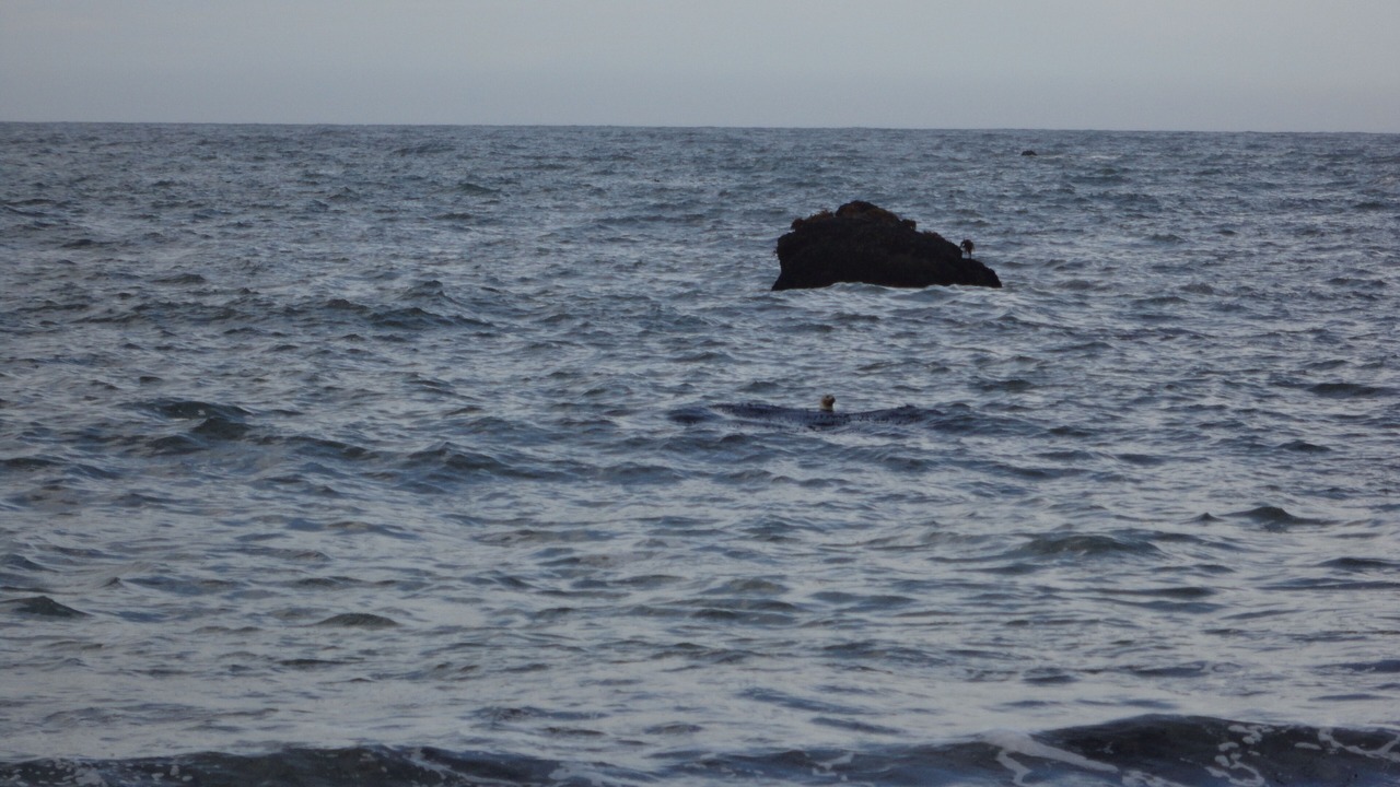 Photo of Others in Sereno del Mar