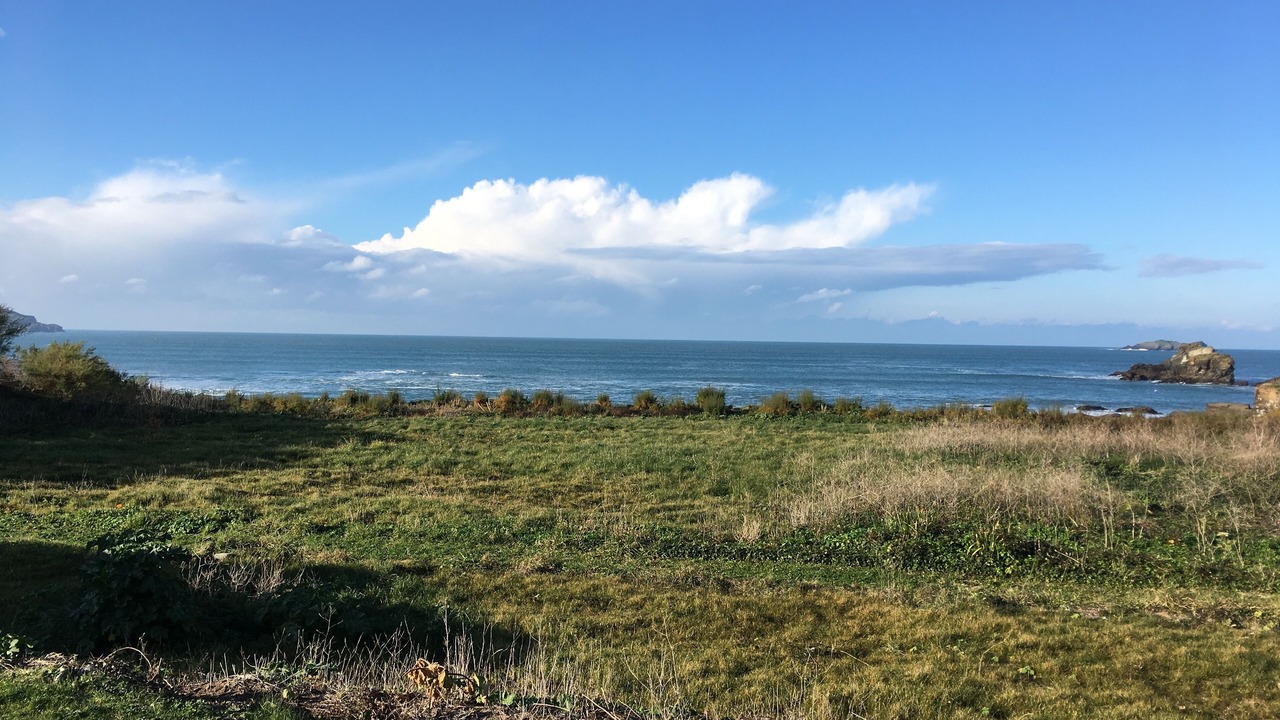 Photo of Others in Trevone