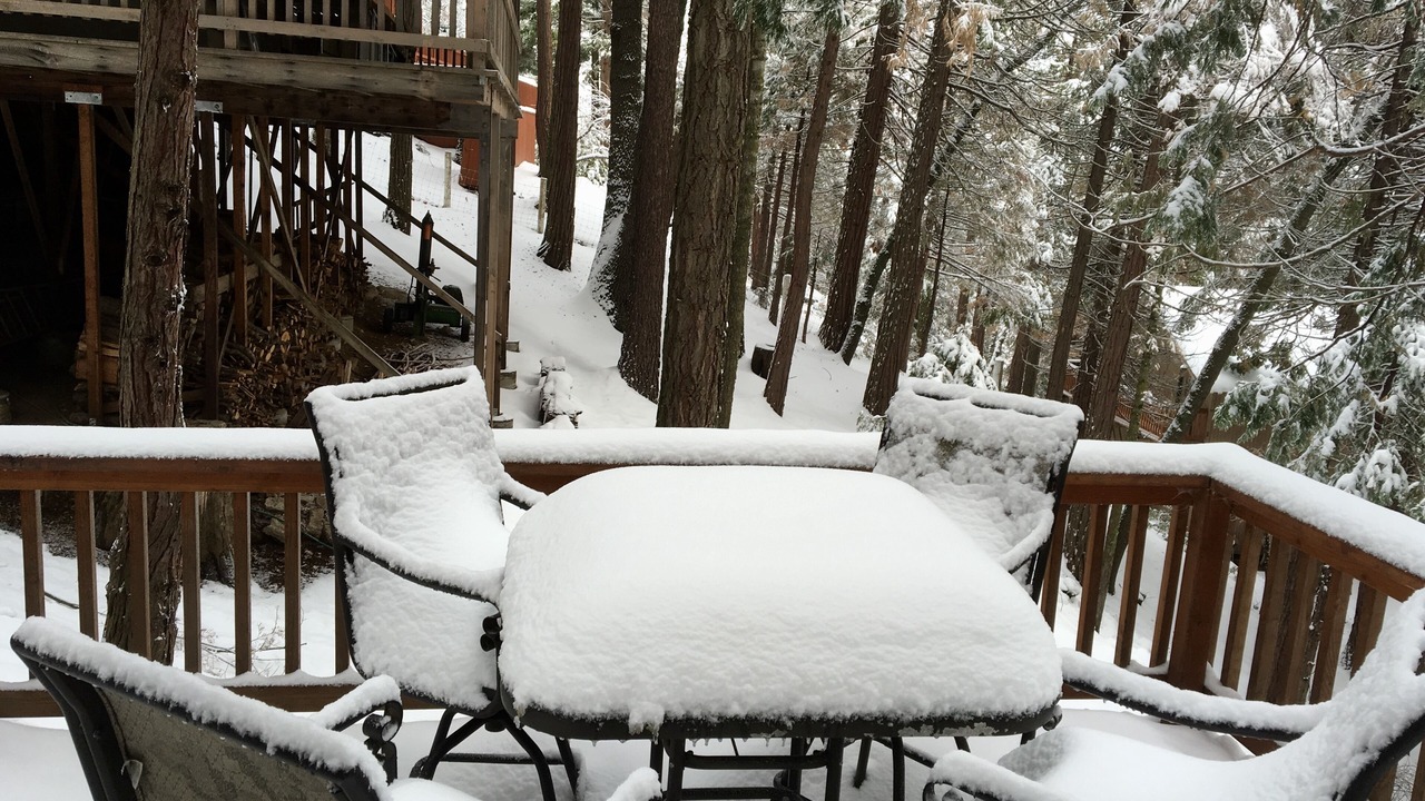 Photo of Outdoor in Posey