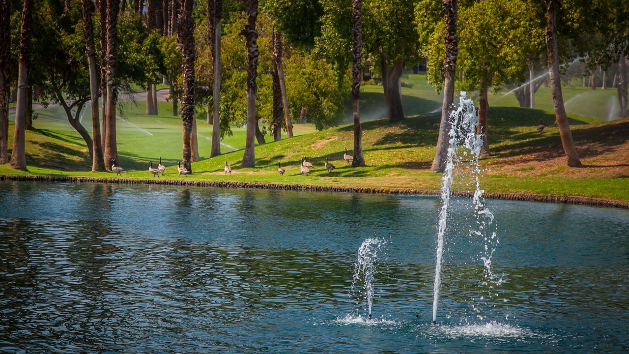 Photo of Outdoor in Palm Desert