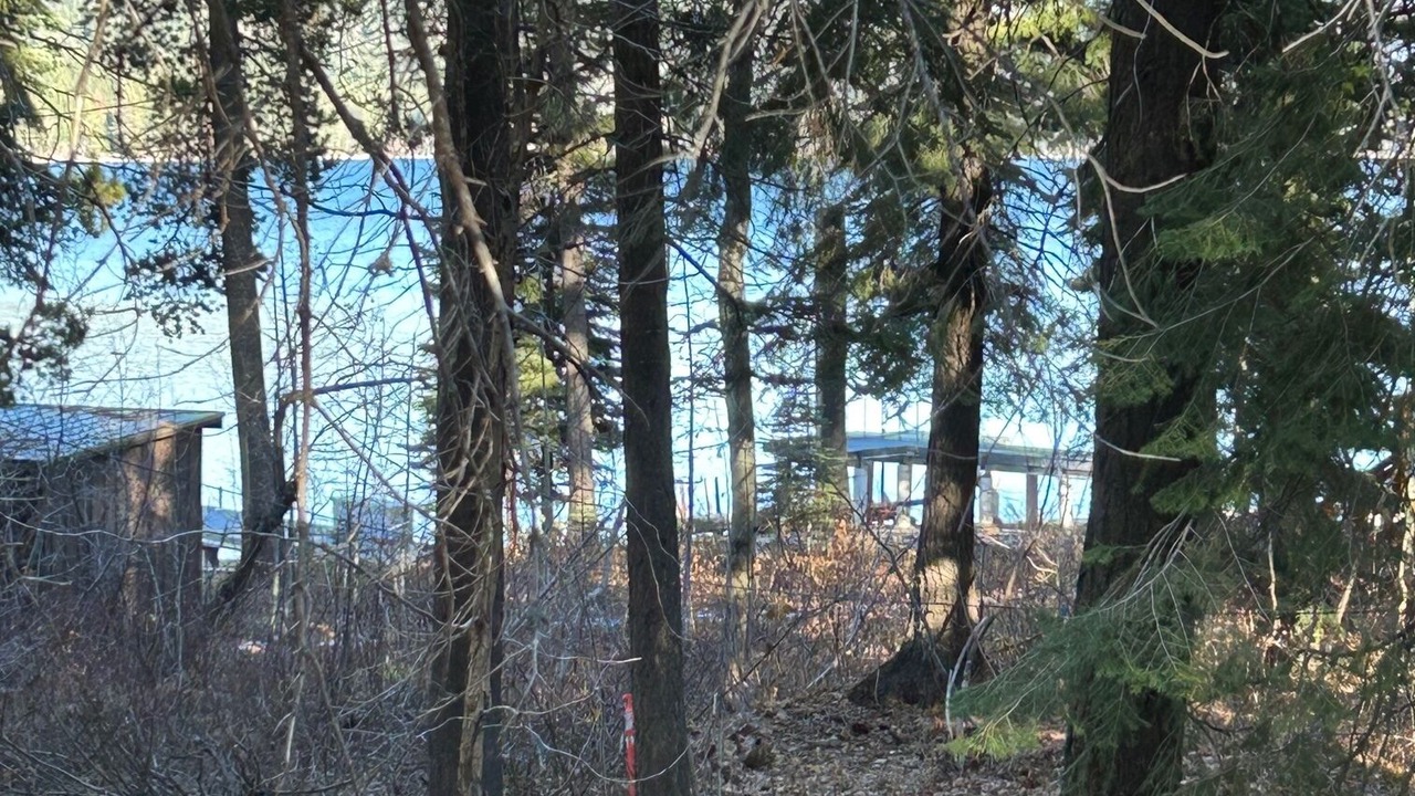 Photo of Outdoor in Donner Lake Woods