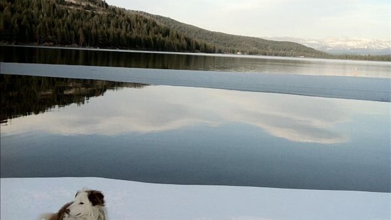 Photo of Outdoor in Donner Lake Woods