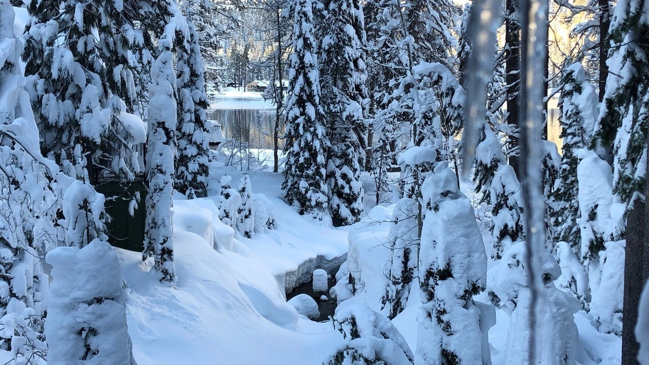 Photo of Outdoor in Donner Lake Woods