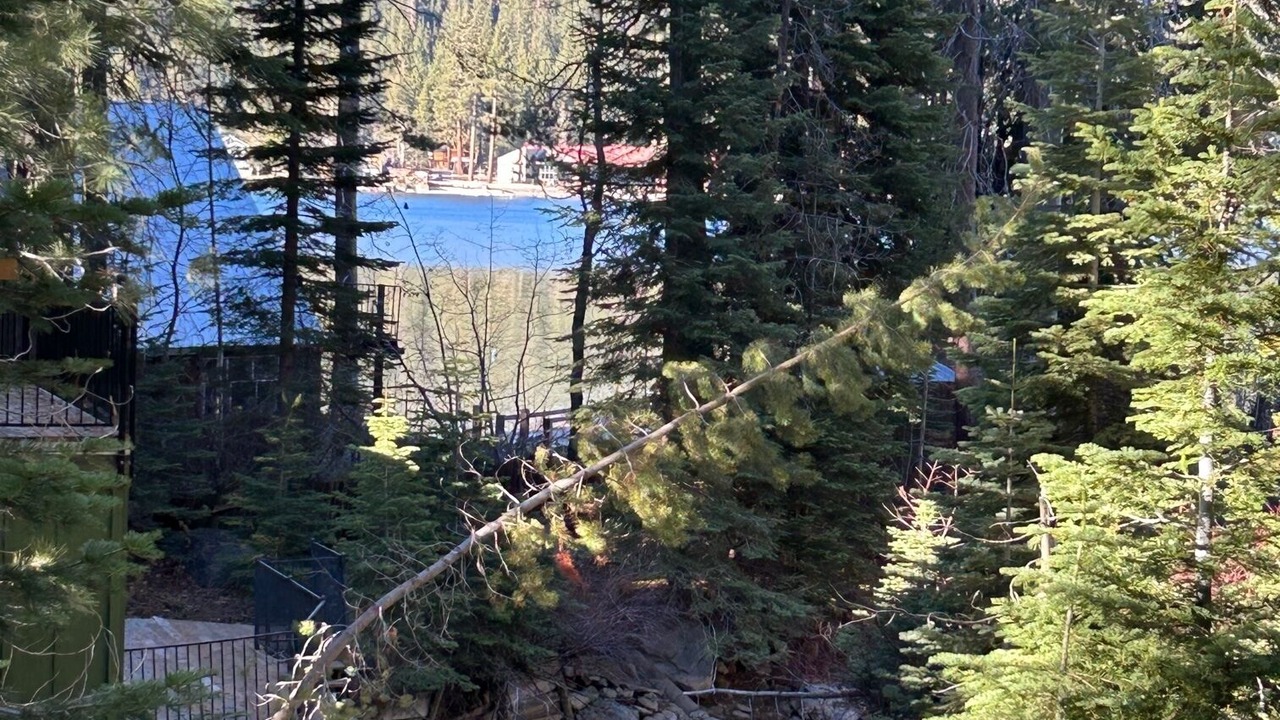 Photo of Outdoor in Donner Lake Woods