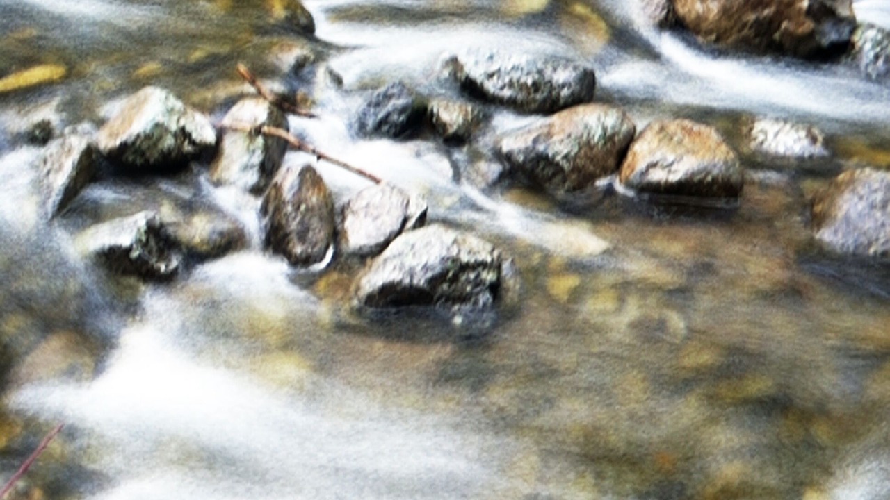 Photo of Others in Donner Lake Woods