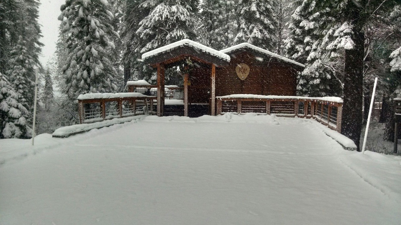 Photo of Others in Donner Lake Woods