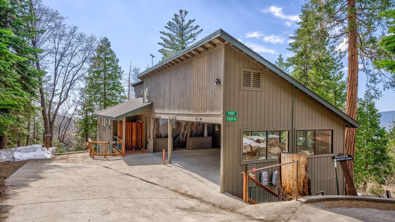 Photo of Outdoor in Yosemite National Park