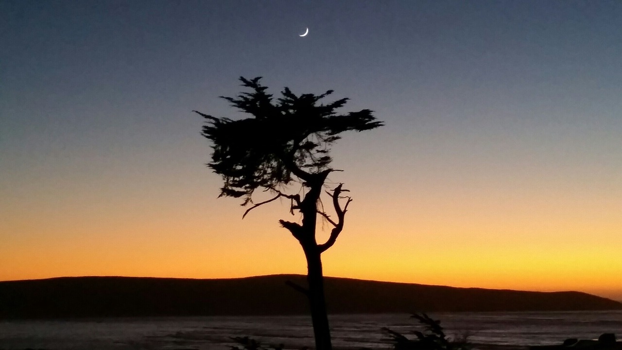 Photo of Others in Dillon Beach