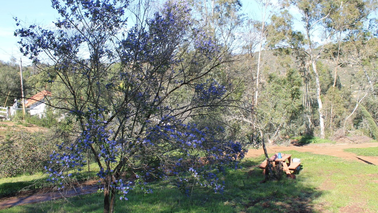 Photo of Outdoor in Valley Center