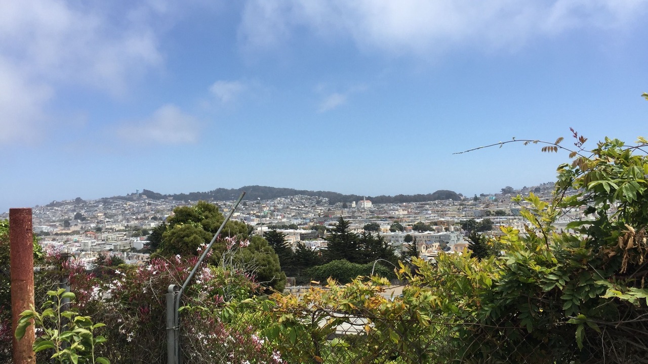 Photo of Outdoor in Ingleside