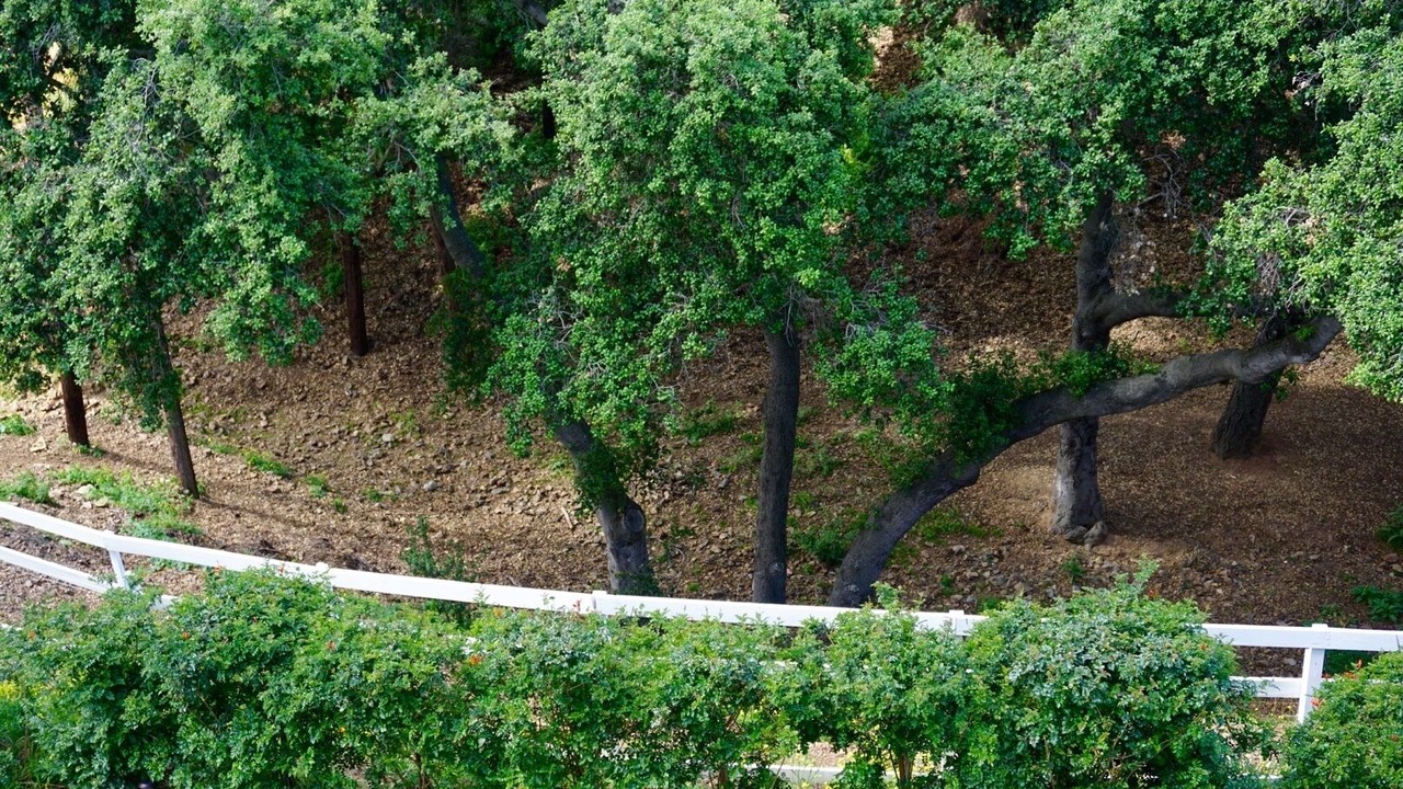Photo of Outdoor in Escondido